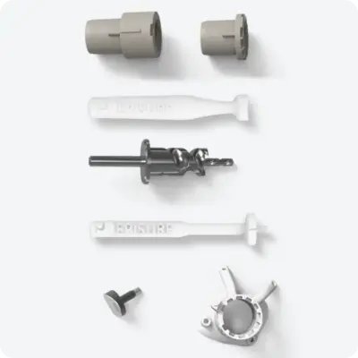 Episealer Talus, Abbildung 2