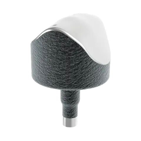Episealer Talus